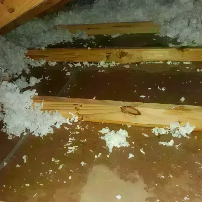 Attic Water Damage in Red Oak, IA